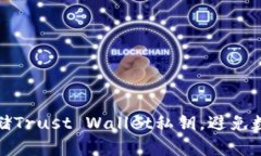 如何安全存储Trust Wallet私