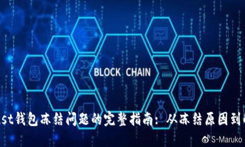 解决Trust钱包冻结问题的完整指南: 从冻结原因到解锁技巧