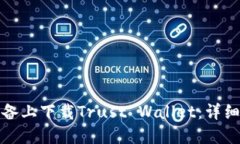 如何在苹果设备上下载T