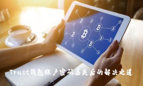 Trust钱包账户密码丢失后的解决之道